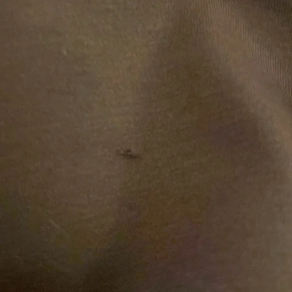 NWT Free People L hoodie brown L * hole - Picture 5 of 7